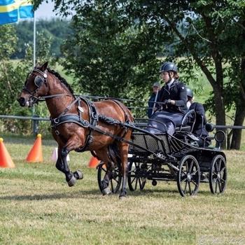 Rikke Ruus - Driving sports